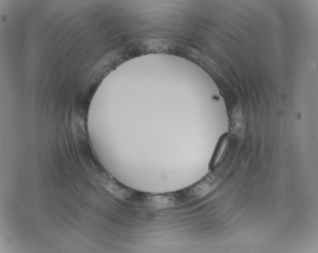 X0000076250522200610191652