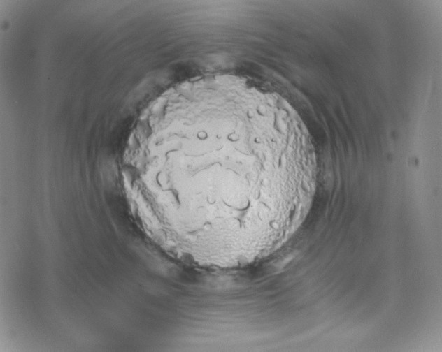 X0000076250523200610191652