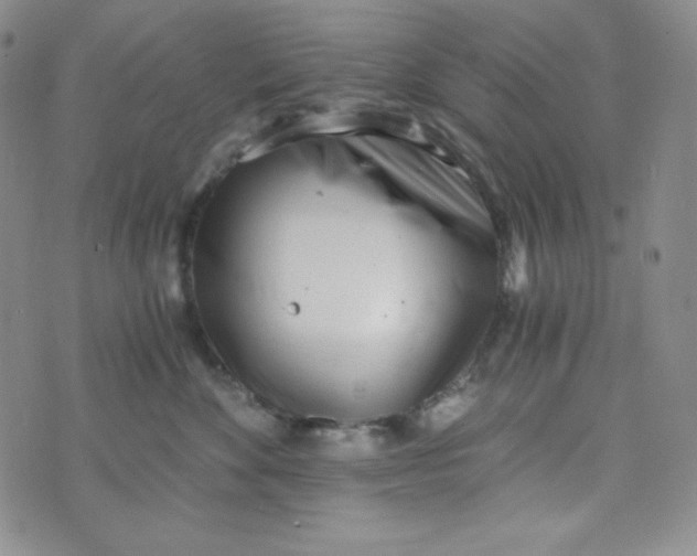 X0000076250524200610191652