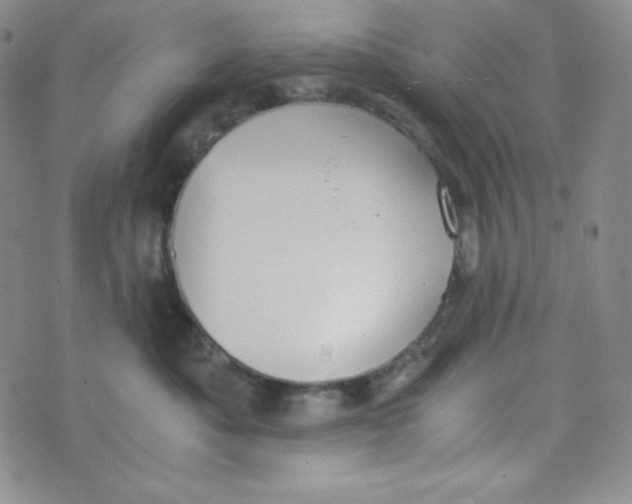 X0000076250525200610191652