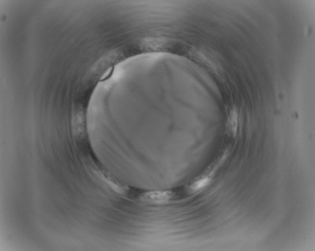 X0000076250526200610191652