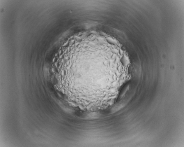 X0000076250527200610191652