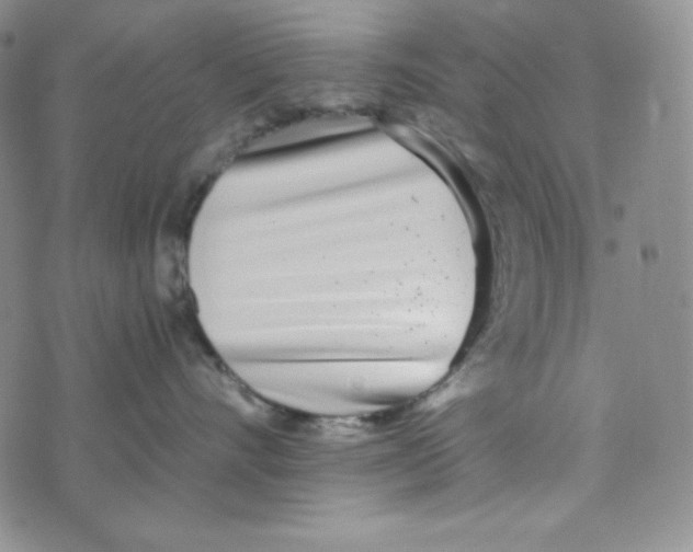 X0000076250528200610191652