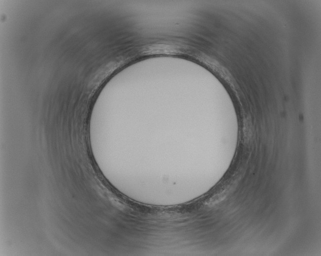 X0000076250529200610191651