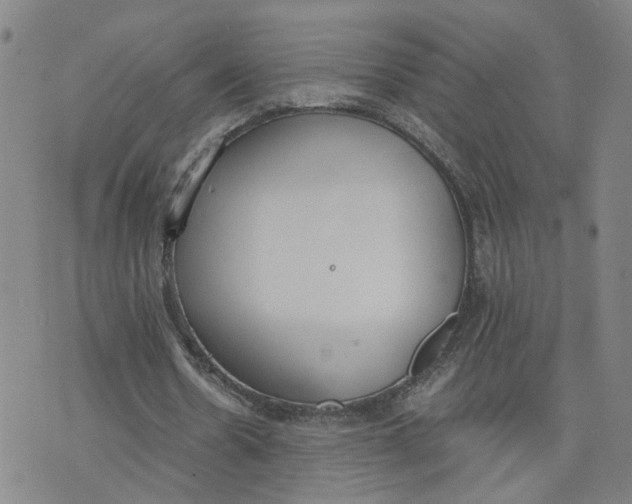 X0000076250530200610191651