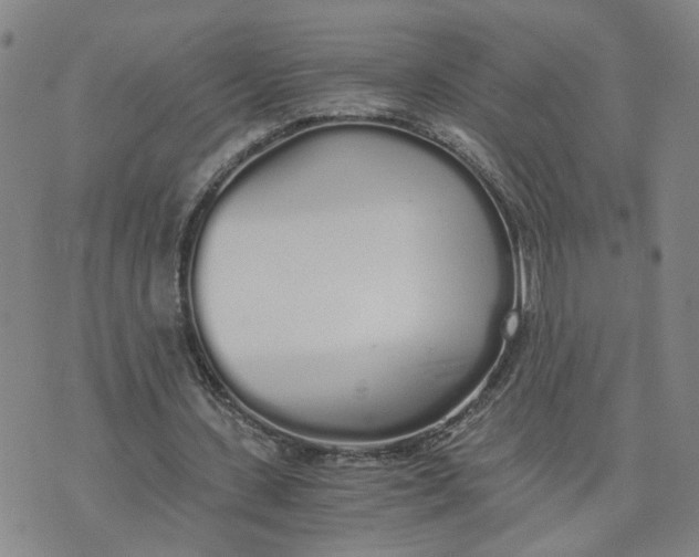 X0000076250531200610191651