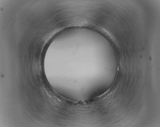 X0000076250532200610191651