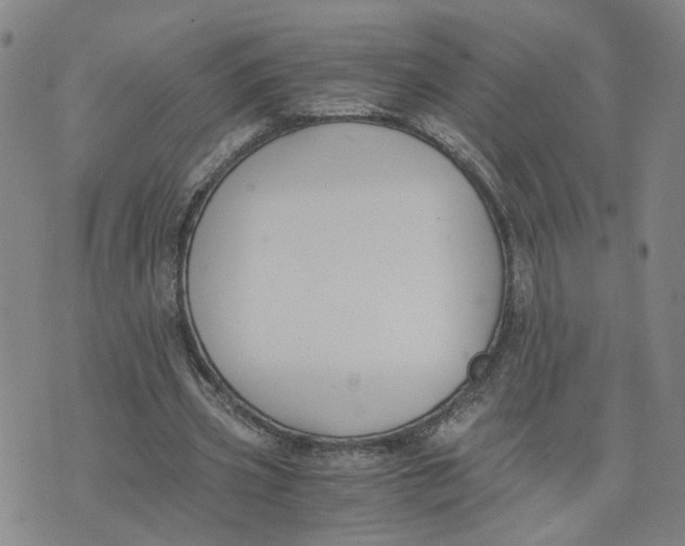 X0000076250533200610191651