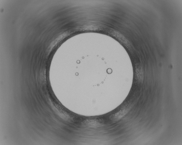 X0000076250534200610191651