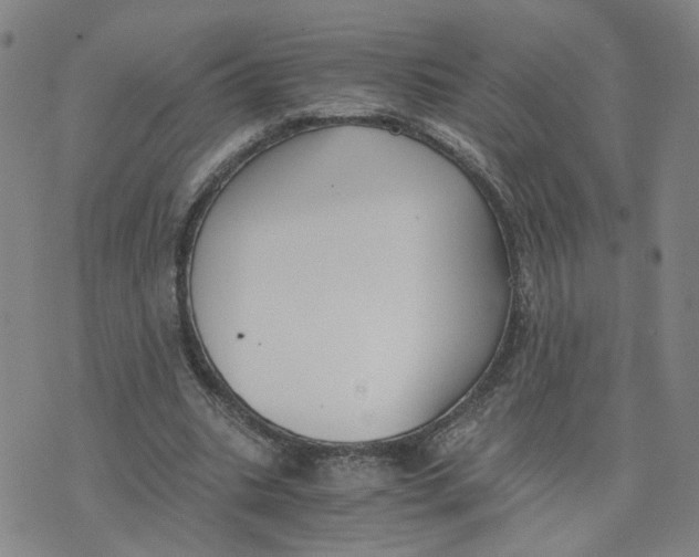 X0000076250535200610191651