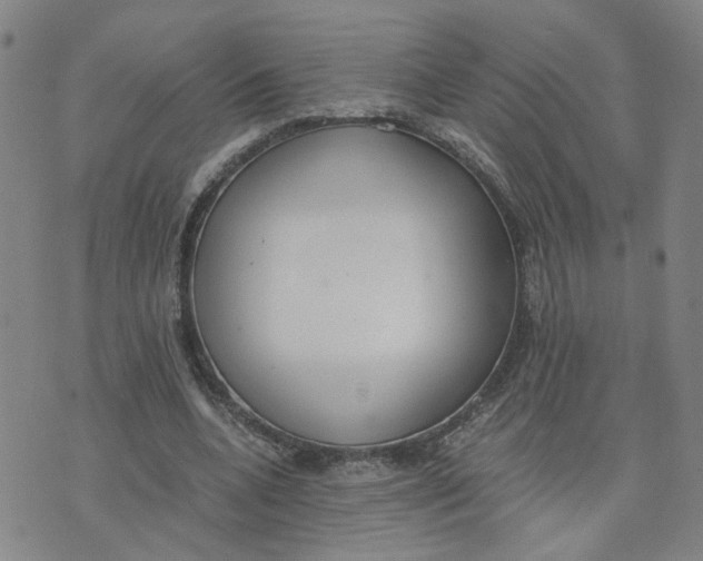 X0000076250536200610191651