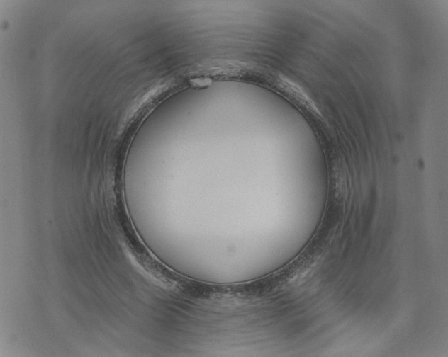 X0000076250538200610191651