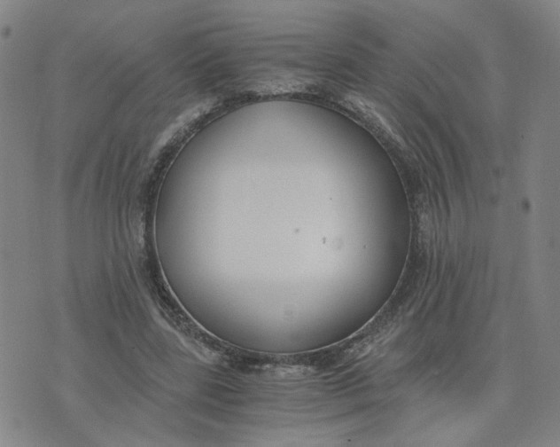 X0000076250539200610191651