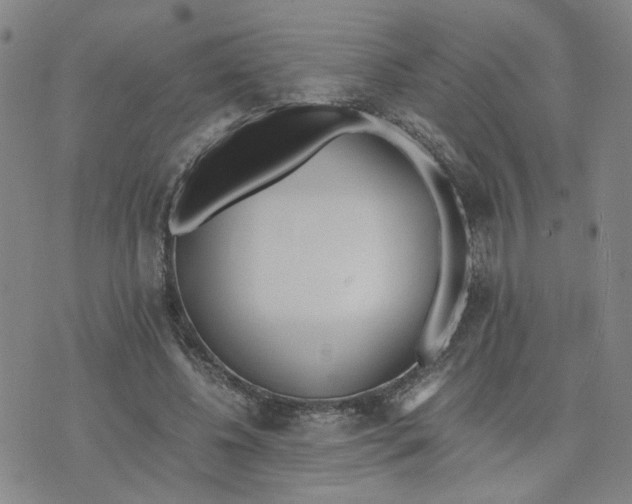 X0000076250540200610191651