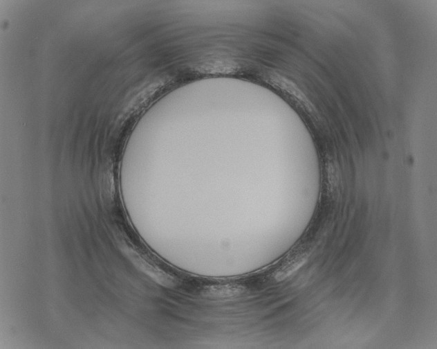 X0000076250541200610191651