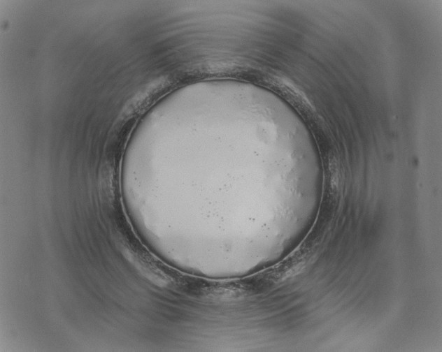 X0000076250542200610191651