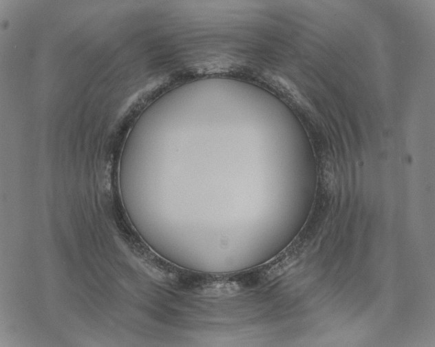 X0000076250543200610191651