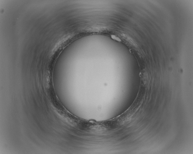 X0000076250544200610191651