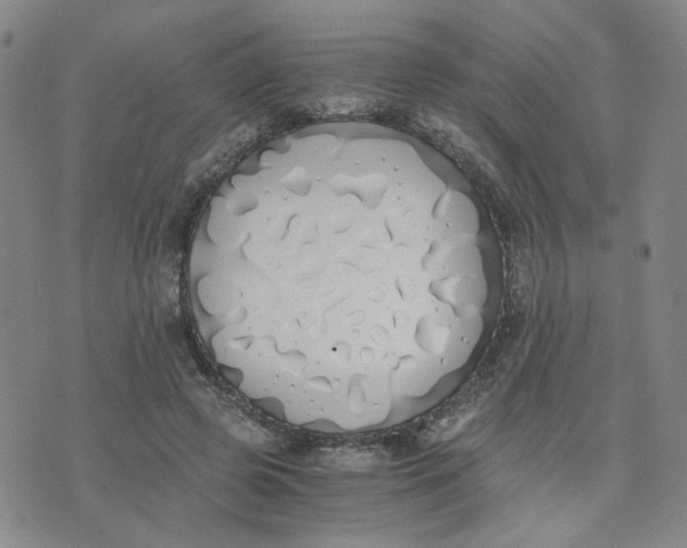 X0000076250545200610191651