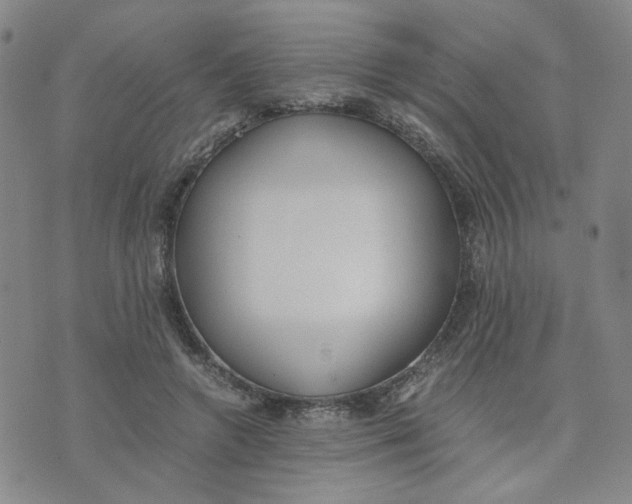 X0000076250546200610191651