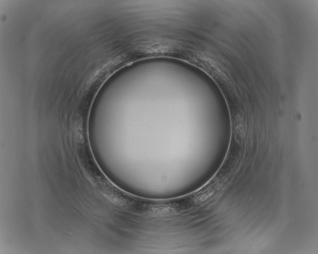 X0000076250547200610191651