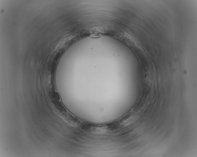 X0000076250548200610191651