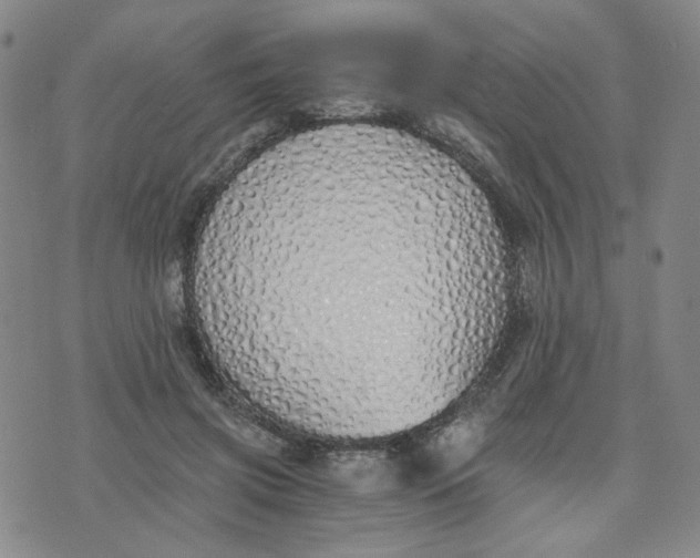 X0000076250549200610191651