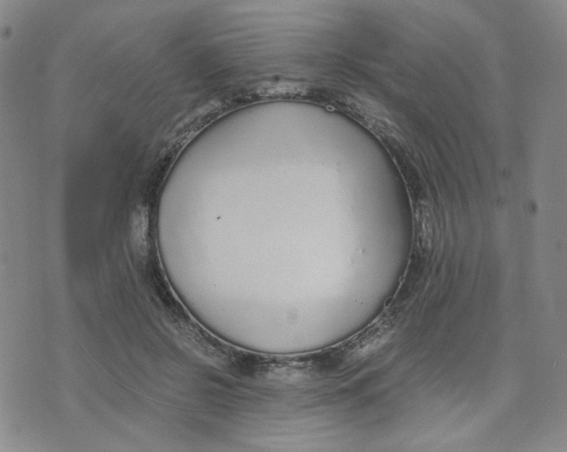 X0000076250550200610191651