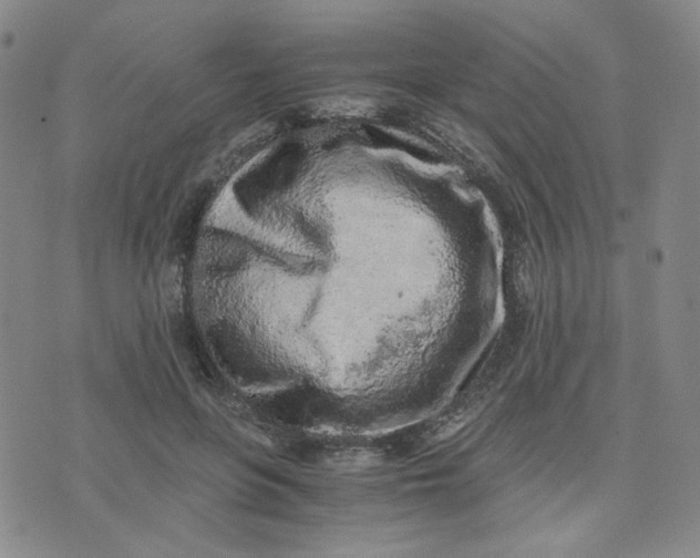 X0000076250551200610191651