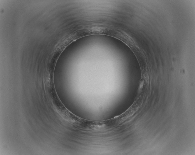 X0000076250552200610191651