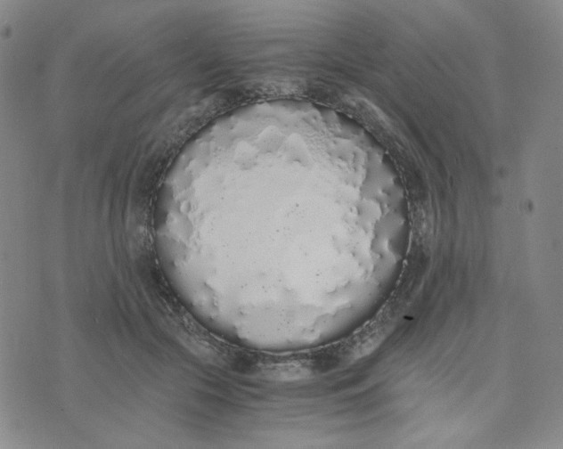 X0000076250553200610191651