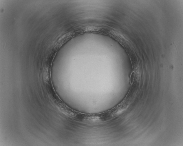 X0000076250554200610191651