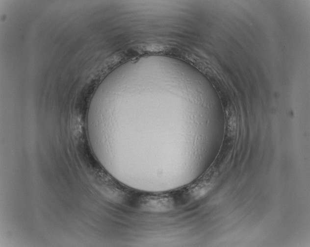 X0000076250555200610191651