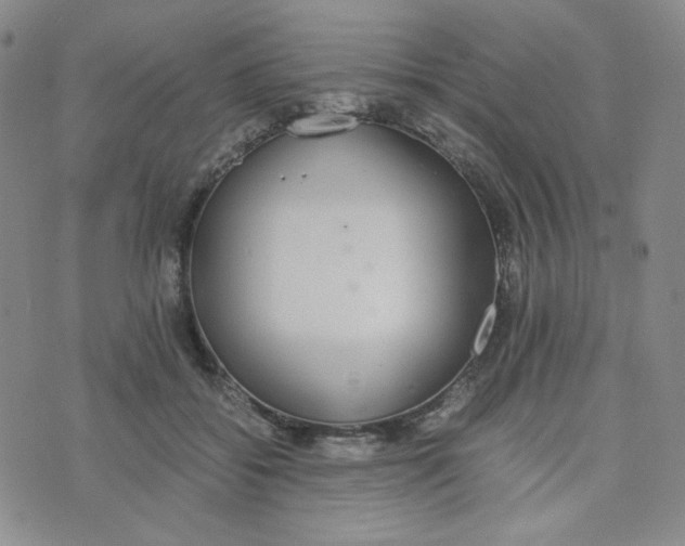 X0000076250556200610191651