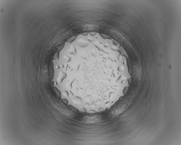 X0000076250557200610191651