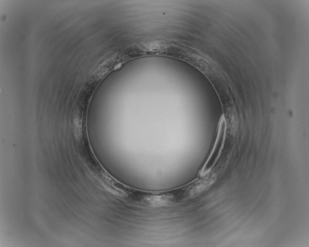 X0000076250558200610191651