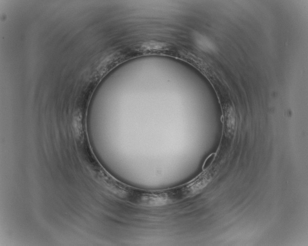 X0000076250559200610191651