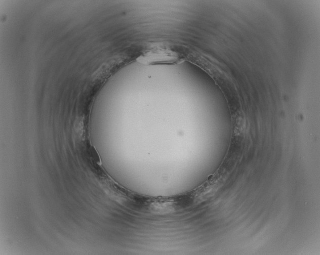 X0000076250560200610191651