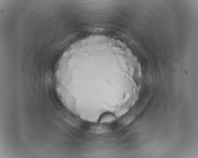 X0000076250561200610191651