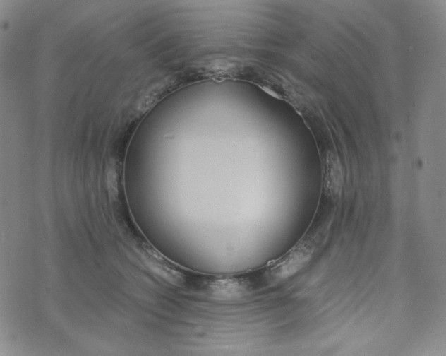 X0000076250562200610191651