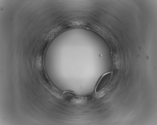 X0000076250563200610191651