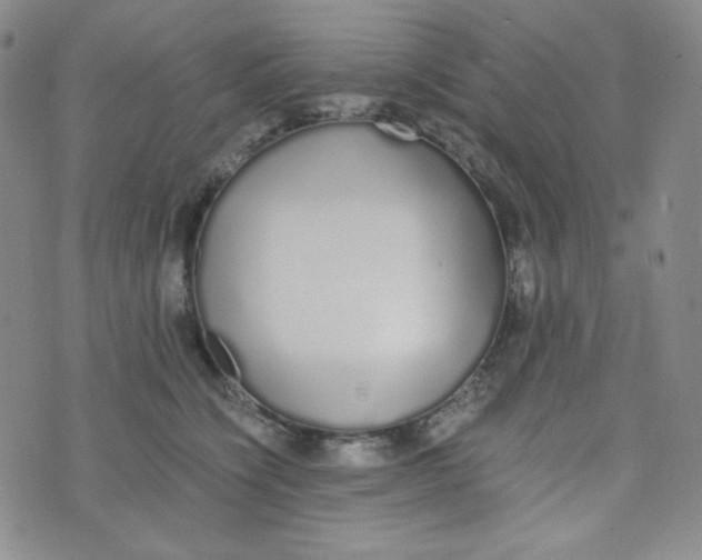 X0000076250564200610191652