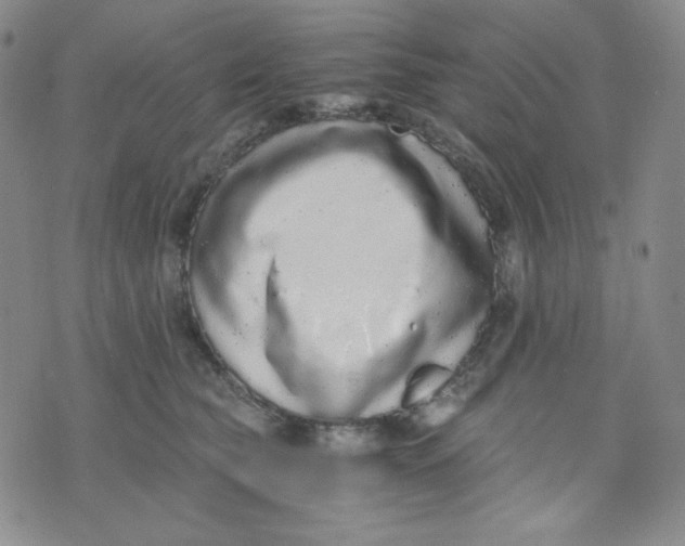 X0000076250565200610191652