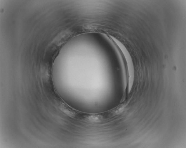 X0000076250566200610191652