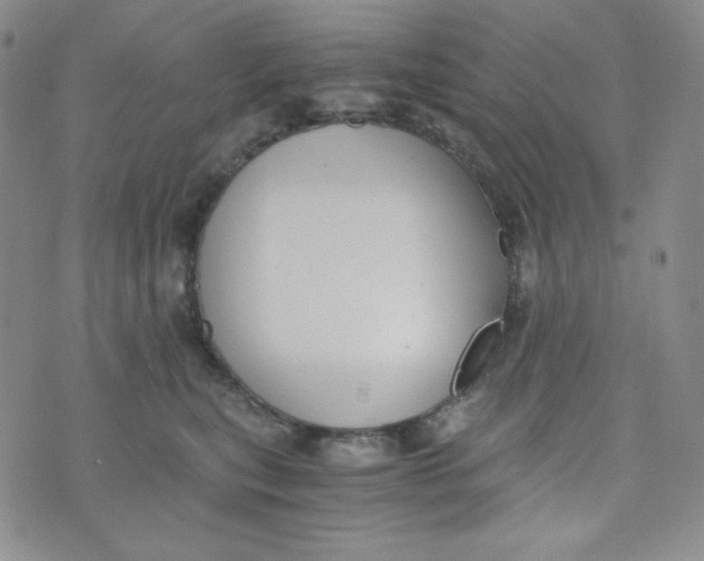 X0000076250567200610191652