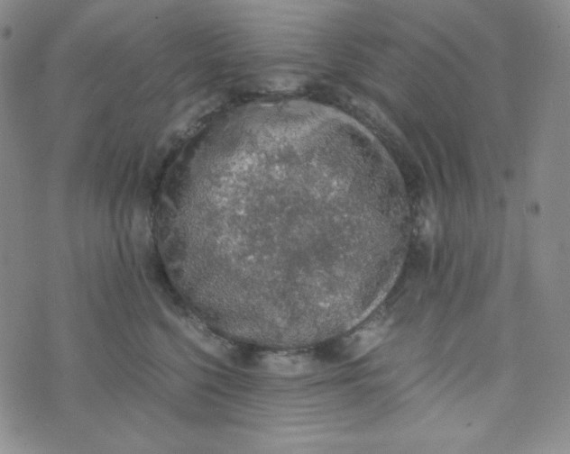 X0000076250568200610191652