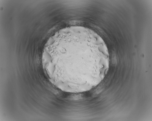 X0000076250569200610191652