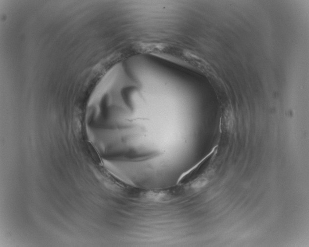 X0000076250570200610191652