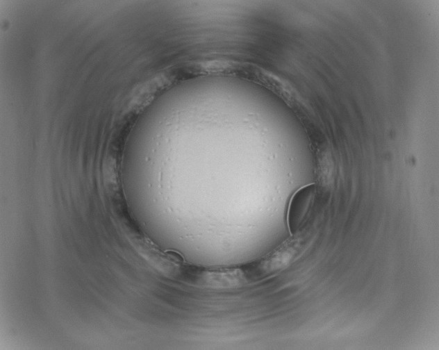 X0000076250571200610191652