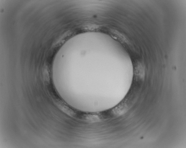 X0000076250572200610191652